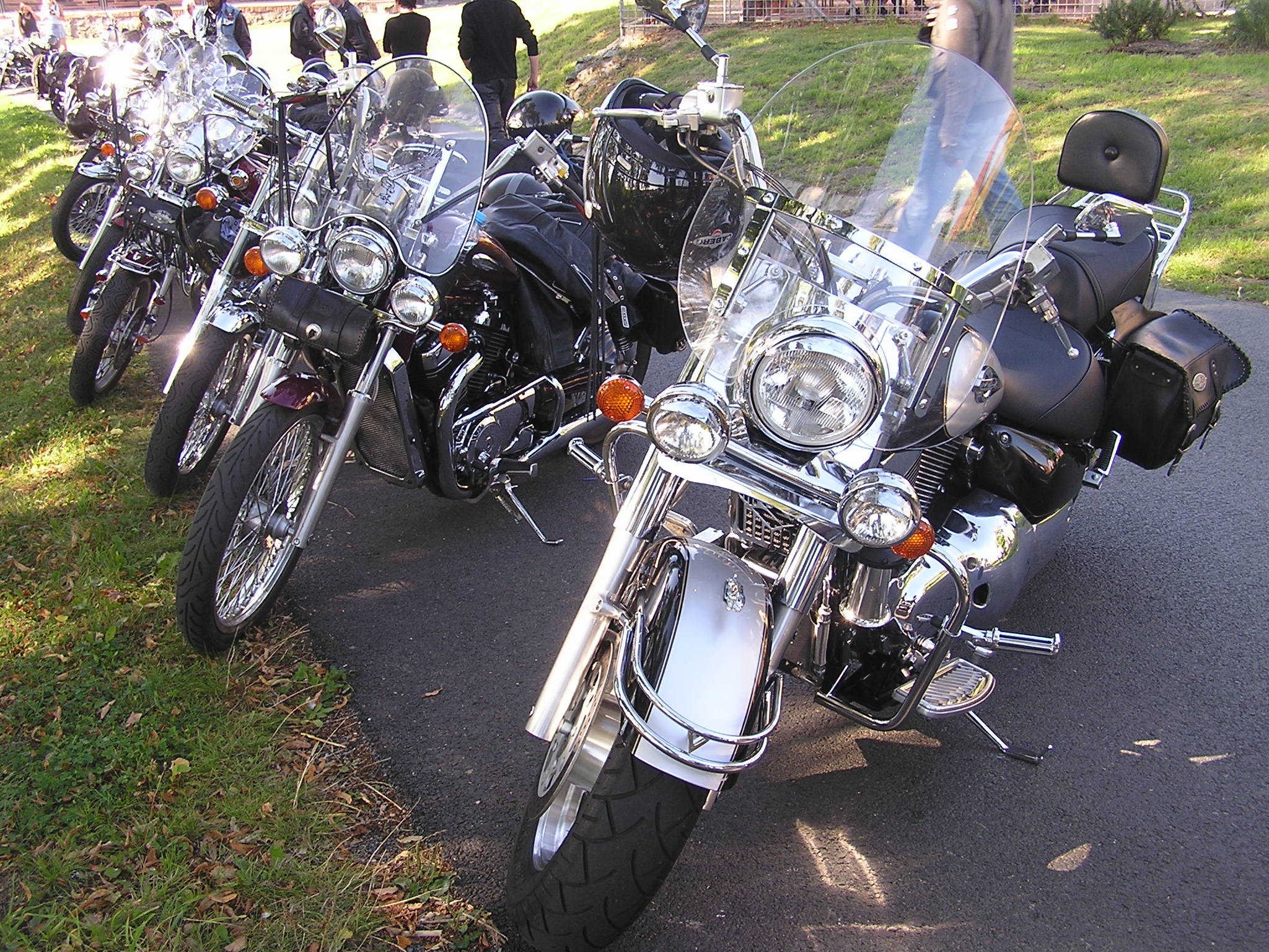 P1010231.JPG